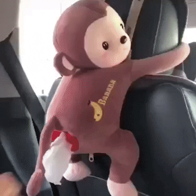 WittyBasket giphyupload GIF