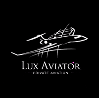 Lux-Aviator plane jet private flight GIF