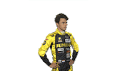 Holland Racer Sticker by fiawec