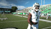 OhioBobcats football cats ncaa college football GIF