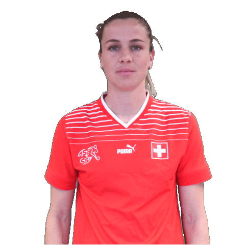 Link Switzerland Sticker by Swiss Football Association