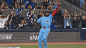 Happy Blue Jays GIF by Toronto Blue Jays