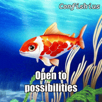 GIF by TheConfishius