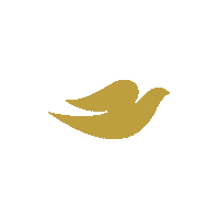 Letschangebeauty Sticker by Dove