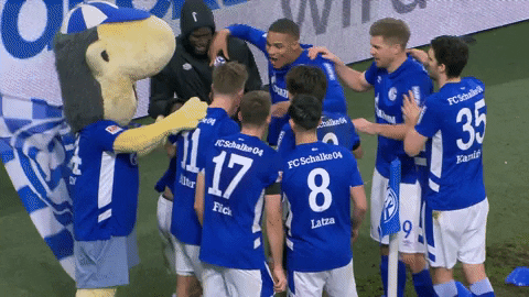 Dance Football GIF by FC Schalke 04