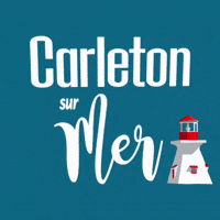 Lighthouse Carleton GIF