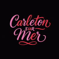 Color Flash GIF