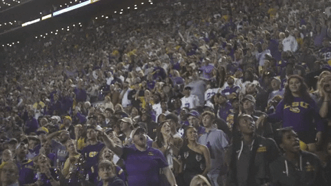 Happy Lets Go GIF by LSU Tigers