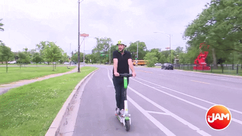 chicago lime GIF
