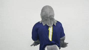 utchattanooga utc scrappy gomocs utchattanooga GIF