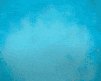 Money Crypto GIF by Baby Doge Coin