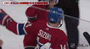 Ice Hockey Sport GIF by NHL