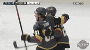 Ice Hockey Sport GIF by NHL