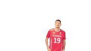 swiss_volley svmnt Sticker