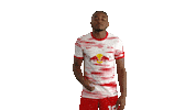 What Do You Want Football Sticker by RB Leipzig