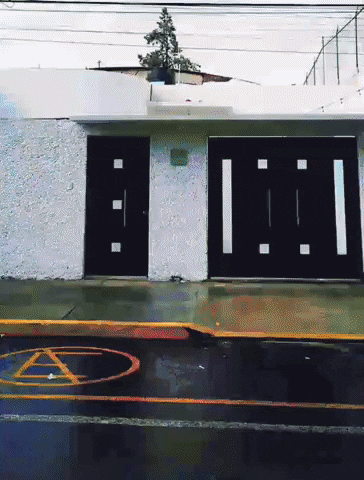 GIF by Jaime Martínez