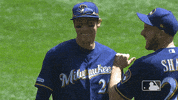 major league baseball sport GIF by MLB