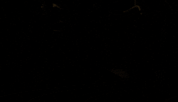 pena dura season 5 GIF by Gotham