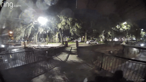 chinely giphygifmaker GIF