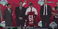 nhl sports sport hockey nhl GIF