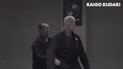 martial arts ninjutsu GIF by AKBAN Academy