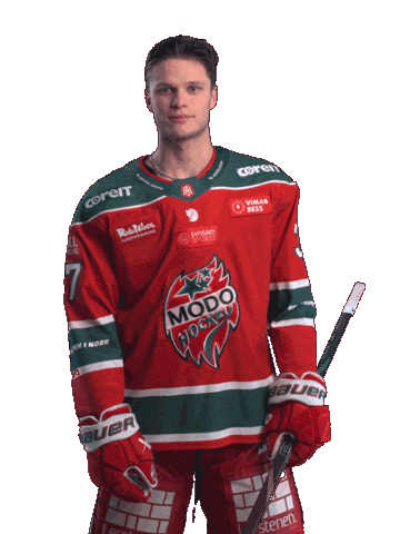 Sticker by MoDo Hockey