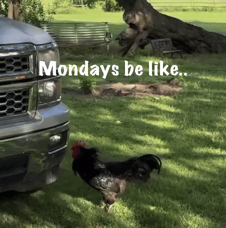 Monday Blues GIF