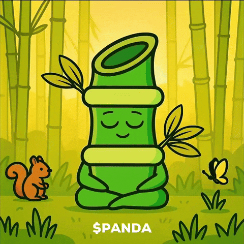 Happy Good Morning GIF by PandaMania