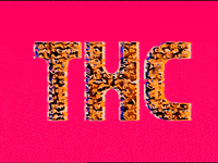 Art Glitch GIF