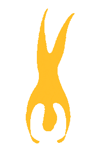 Circus Handstand Sticker by circolito