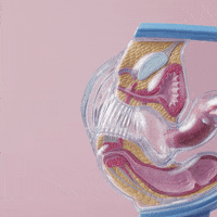 beyuper women blood period cup beyuper GIF