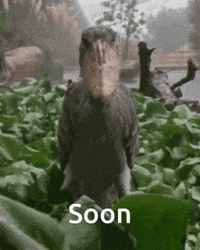 Soon GIF