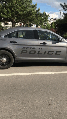 Protest Blm GIF by Chefannawiththepot