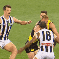 Collingwood Magpies Afl GIF by CollingwoodFC