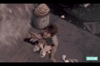 New York Dancing GIF by Turner Classic Movies