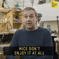 Mouse Armor GIF by 60 Second Docs