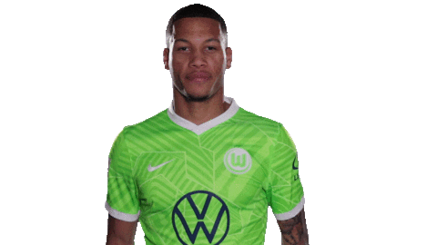 Swipe Up New One Sticker by VfL Wolfsburg