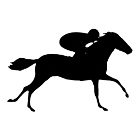 Horse4u run racing horse rider Sticker