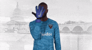 bill hamid GIF by D.C. United