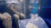 trutv GIF by truTV’s Hack My Life