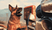 Fallout 4 GIF by Xbox