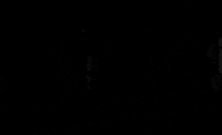 anastasia steele creeper GIF by Fifty Shades