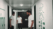 Soccer Amorim GIF by Sporting CP