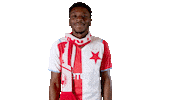 Football Freezing Sticker by SK Slavia Praha