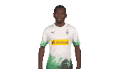 Looking Line Up Sticker by Bundesliga