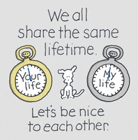 GIF by Chippy the Dog