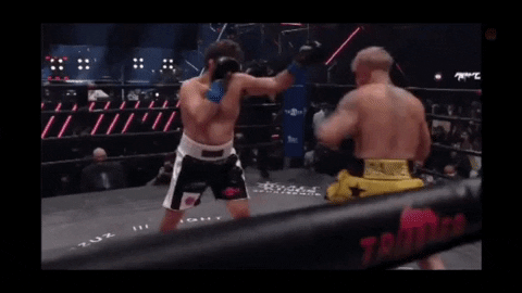 qwerpoiu22ppop giphyupload GIF