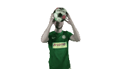 Regionalliga Sticker by HSC Hannover