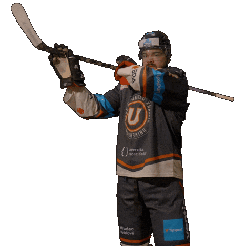 Uhk Taborak Sticker by UNIted HK