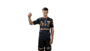 Handball Dunkerque Sticker by USDK